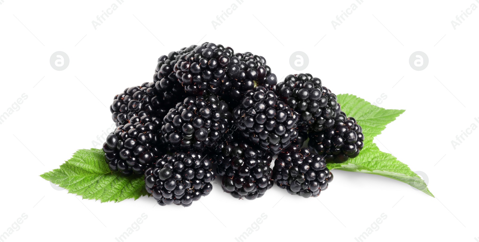 Photo of Pile of ripe blackberries with green leaves isolated on white