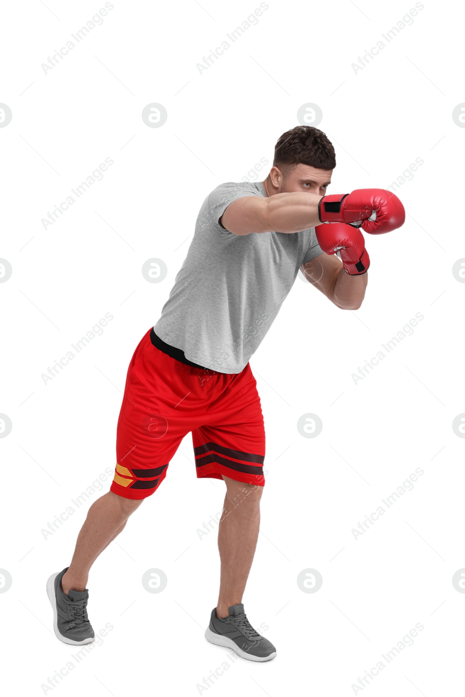 Photo of Man in boxing gloves fighting on white background