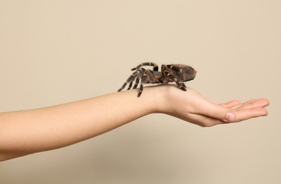 Photo of Woman holding striped knee tarantula on beige background, closeup