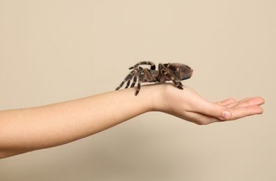 Woman holding striped knee tarantula on beige background, closeup