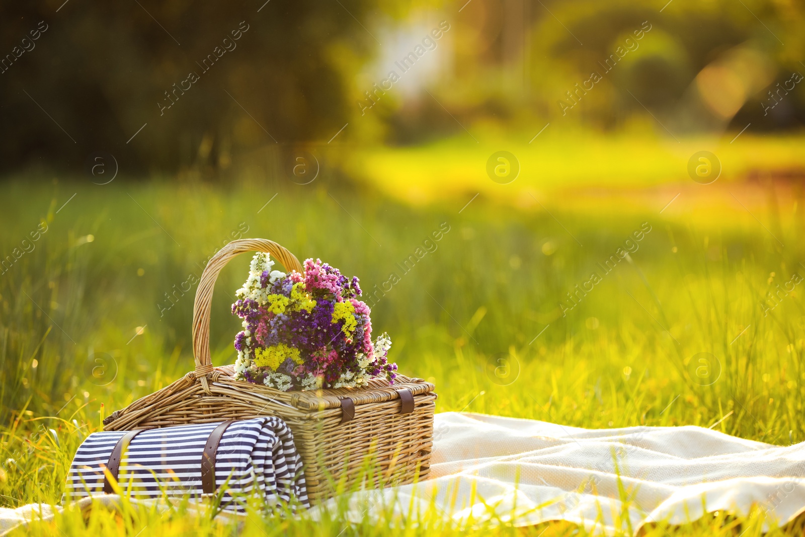 Photo of Picnic basket with wildflowers and mat on blanket outdoors. Space for text