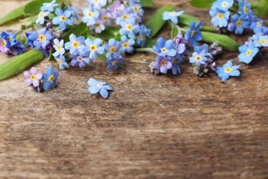 Photo of Beautiful forget-me-not flowers on wooden background, space for text