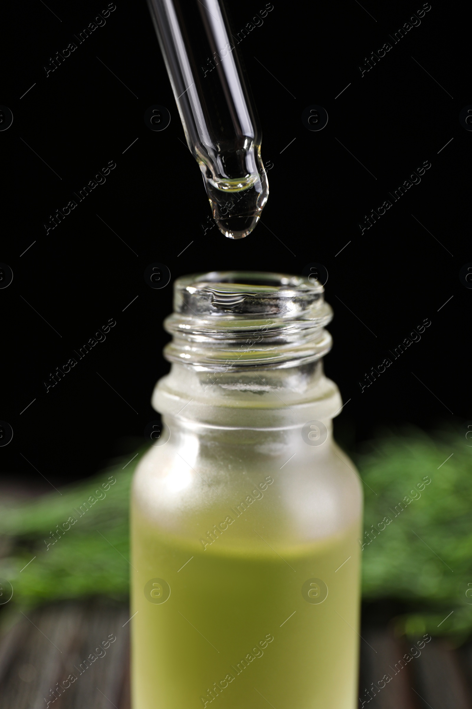 Photo of Dripping dill essential oil from pipette into bottle against black background, closeup