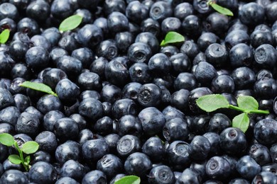 Photo of Many delicious ripe bilberries and green leaves as background, closeup