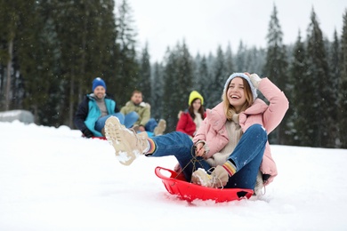 Happy friends sliding on sleds outdoors. Winter vacation