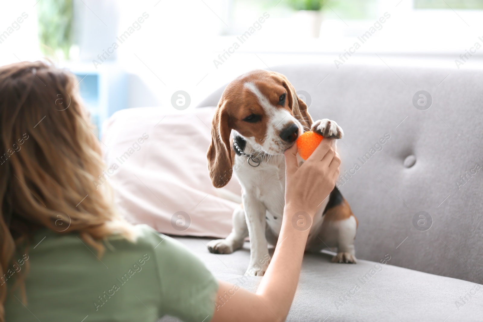 Photo of Young woman playing with her dog at home