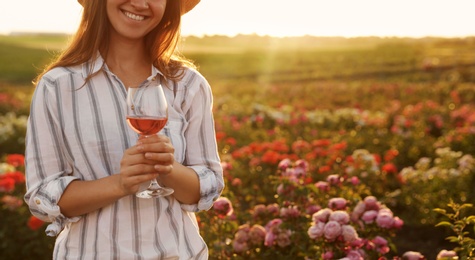 Woman with glass of wine in rose garden on sunny day, closeup. Space for text