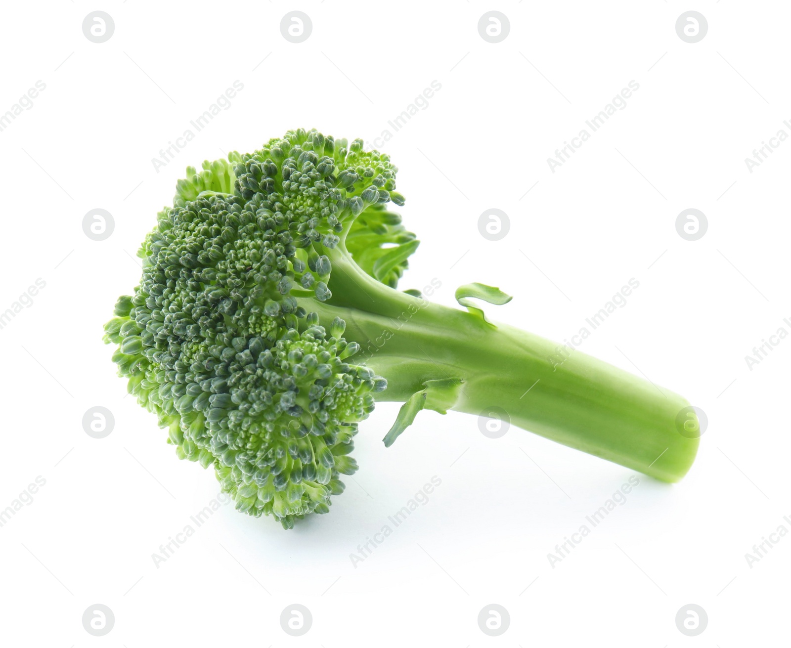 Photo of Fresh broccoli isolated on white. Edible green plant