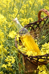 Photo of Wicker basket with rapeseed oil among flowers outdoors, closeup