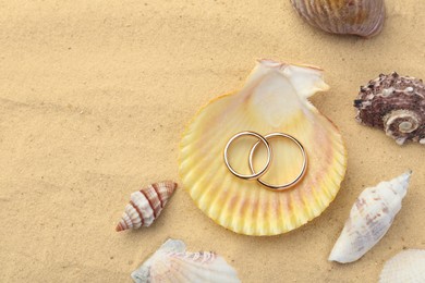 Photo of Honeymoon concept. Two golden rings with seashells on sand, space for text