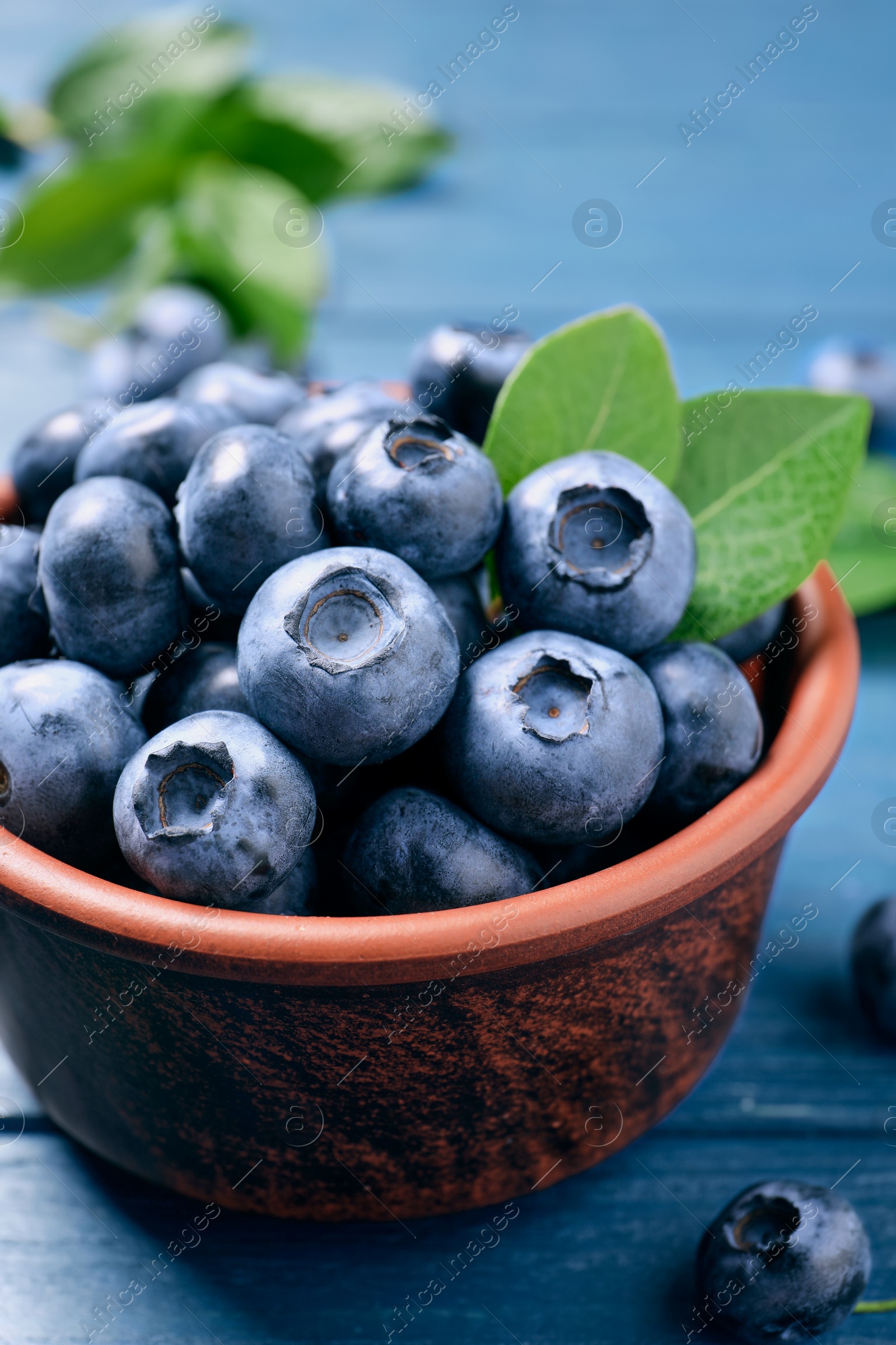 Photo of Tasty fresh blueberries with leaves in bowl on blue wooden table, closeup
