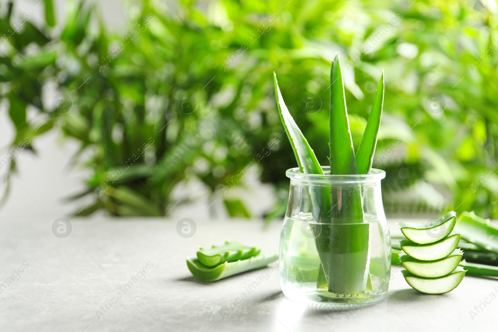 Photo of Jar with fresh aloe vera leaves on table against blurred background. Space for text