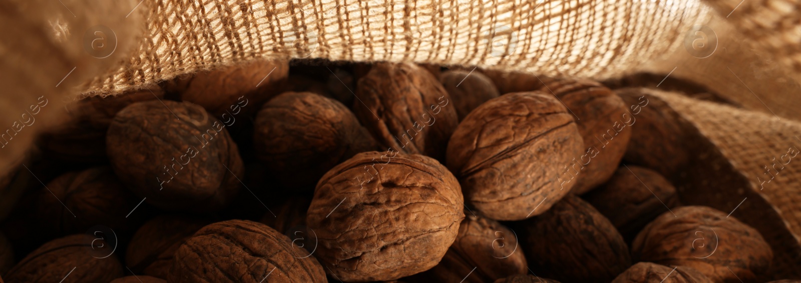 Photo of Many walnuts on burlap fabric, closeup view