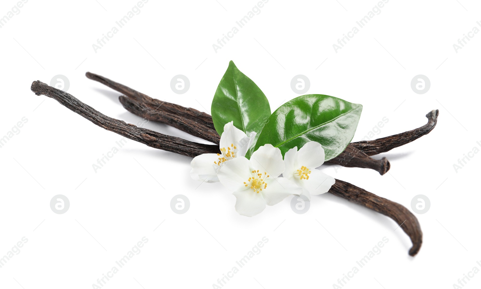 Image of Dried aromatic vanilla sticks, beautiful flowers and green leaves on white background 