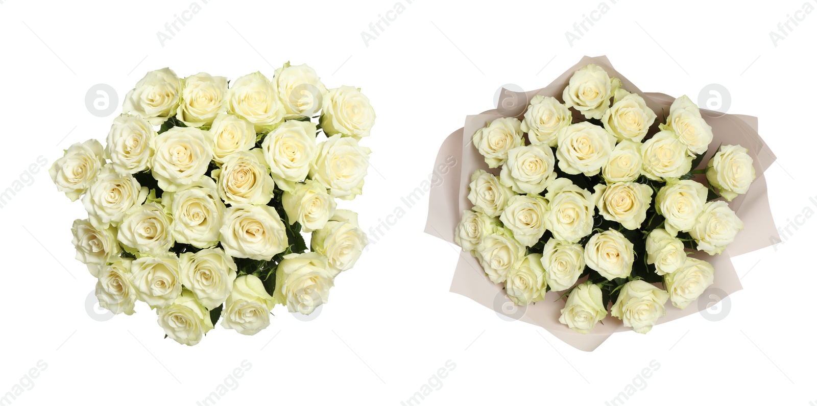 Image of Two beautiful rose bouquets on white background, top view. Banner design 