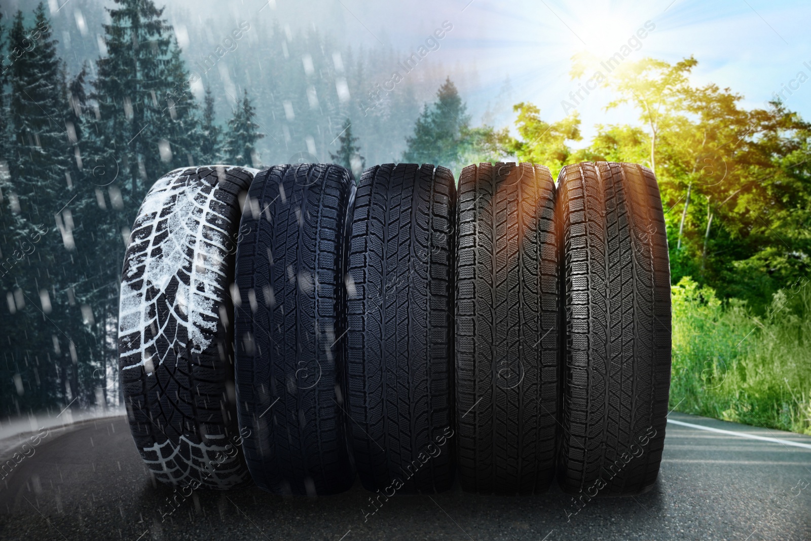Image of Set of new winter and summer tires on asphalt road, collage 