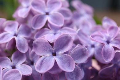 Photo of Closeup view of beautiful lilac flowers as background