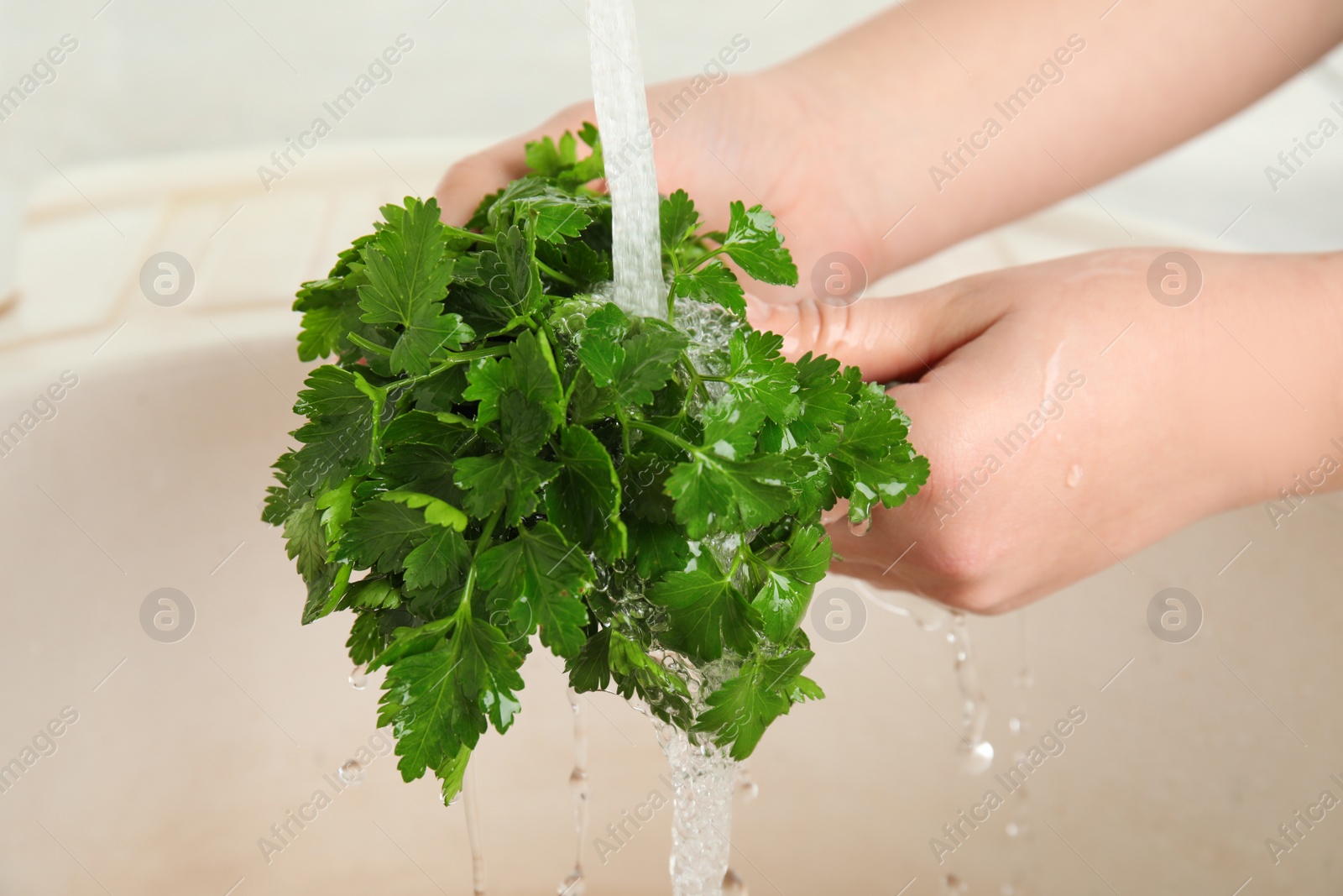 Photo of Woman washing bunch of fresh parsley under tap water in kitchen sink, closeup