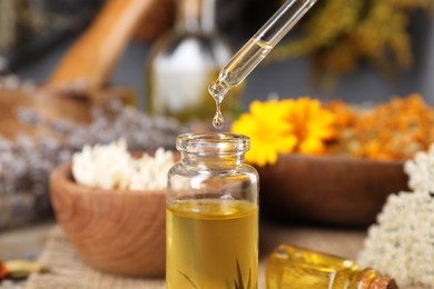 Dripping herbal essential oil from pipette into bottle on table, closeup