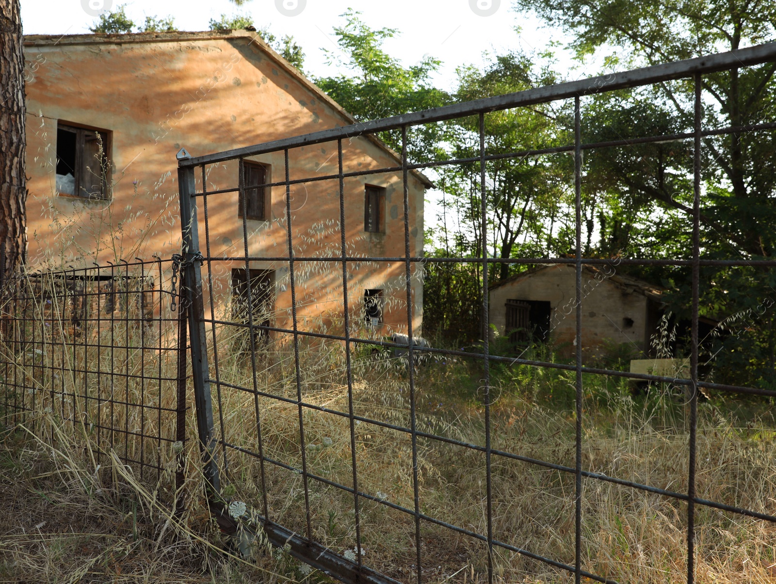 Photo of Metal fence of old abandoned building overgrown by wild plants