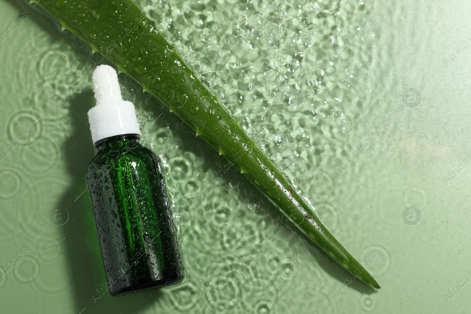 Photo of Bottle of cosmetic product and aloe leaf in water on pale green background, flat lay. Space for text