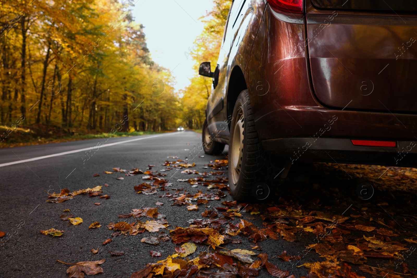 Photo of Modern car on asphalt road near autumn forest, closeup