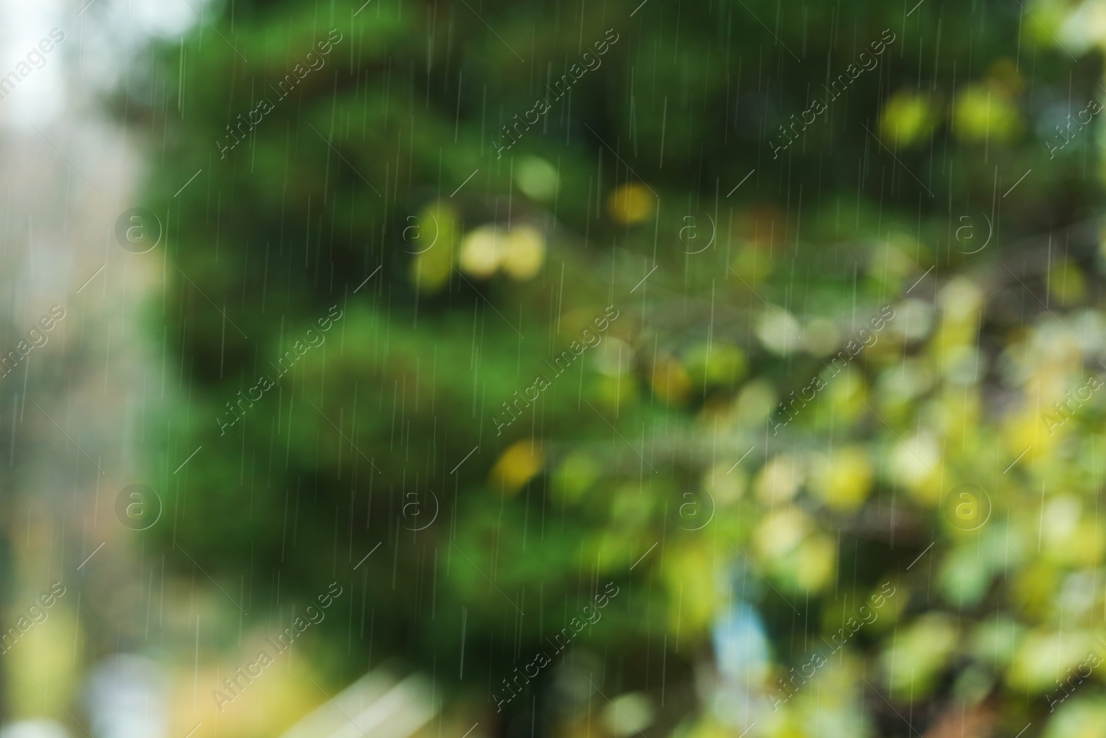 Photo of Blurred view of trees on rainy day