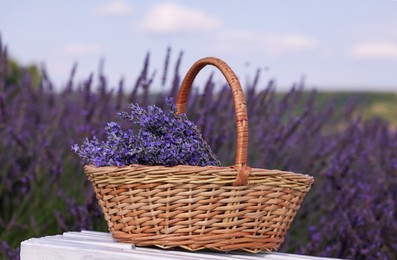 Photo of Wicker basket with aromatic lavender on white wooden bench outdoors