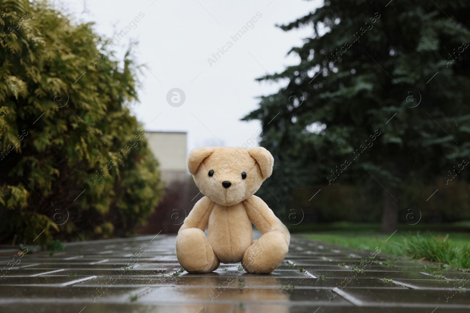 Photo of Lonely teddy bear on stone sidewalk outdoors