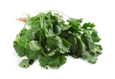 Bunch of fresh coriander on white background