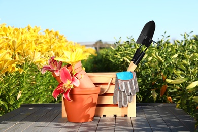 Photo of Gardening tools and lilies on grey table in flower field