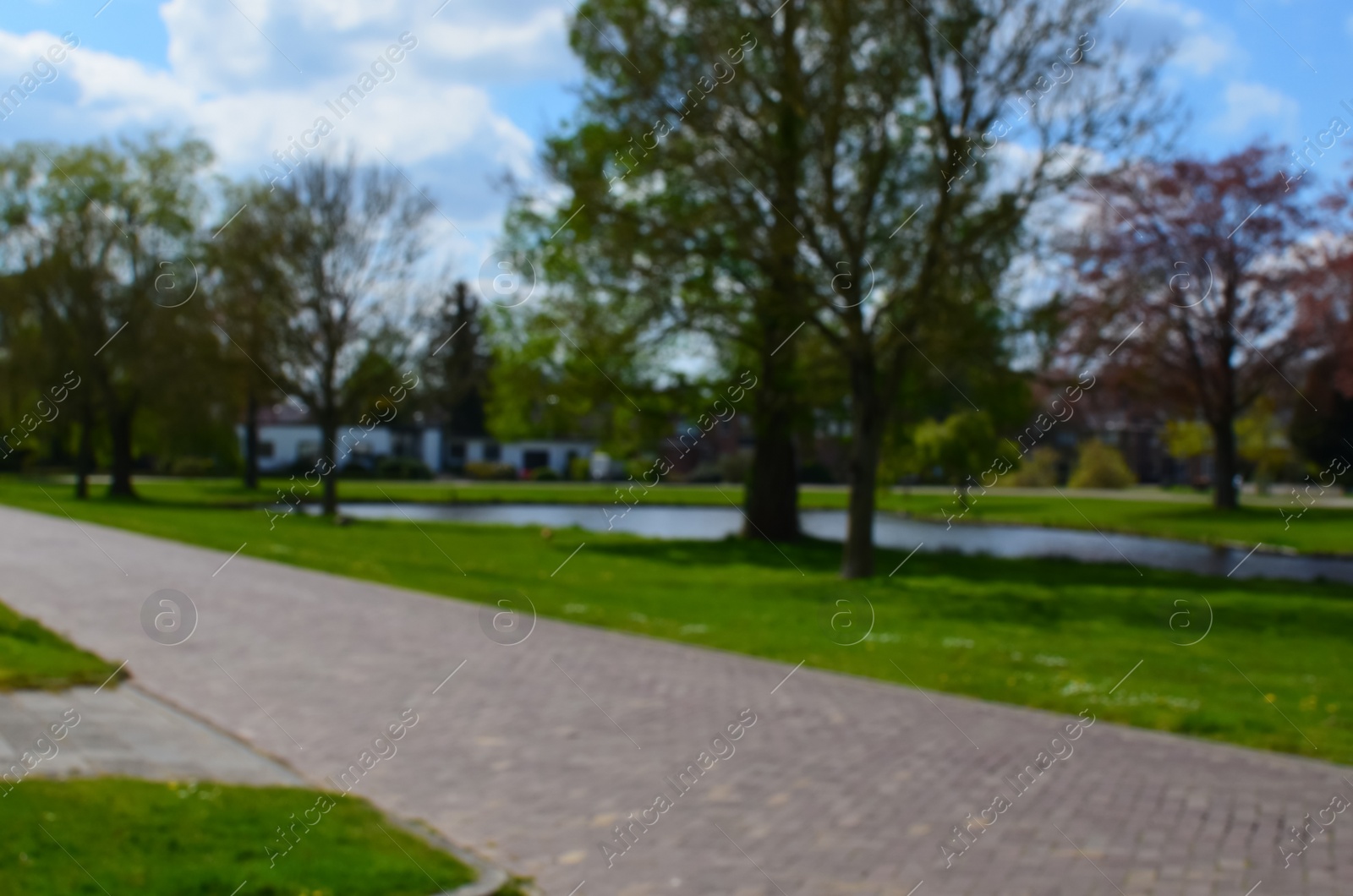 Photo of Blurred view of paved path, beautiful green trees and grass near river on sunny spring day