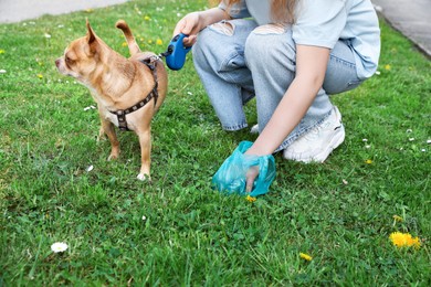 Photo of Woman picking up her dog's poop from green grass, closeup