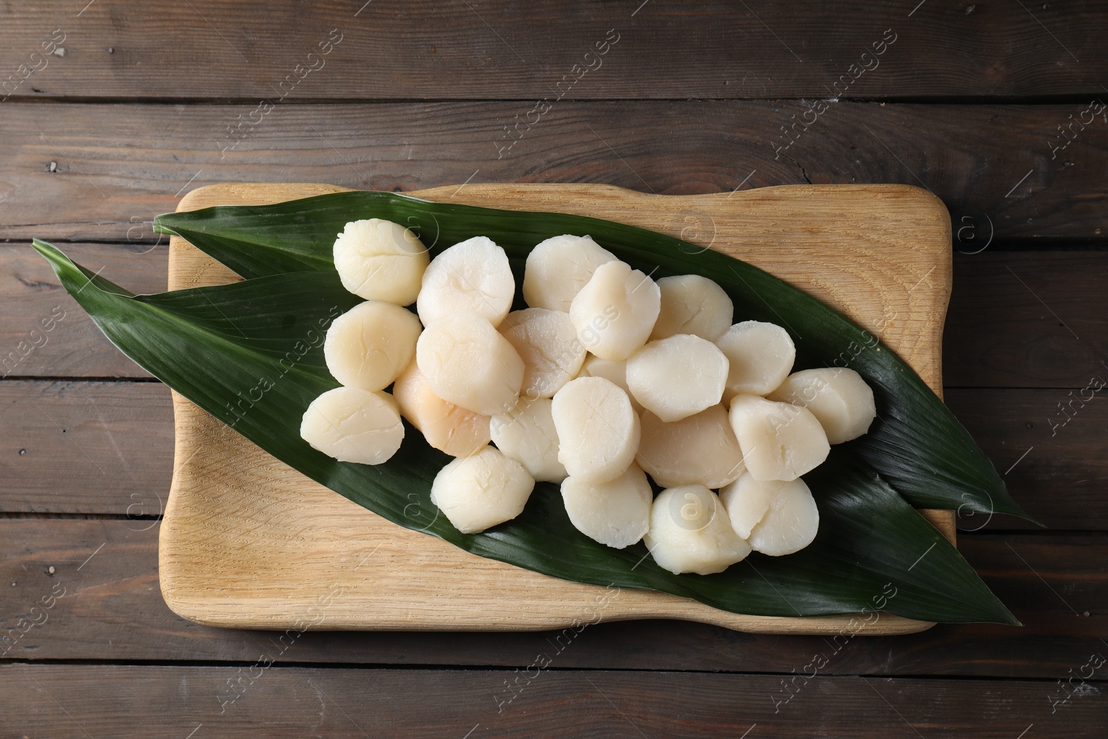 Photo of Fresh raw scallops on wooden table, top view