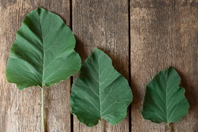 Fresh green burdock leaves on wooden table, flat lay