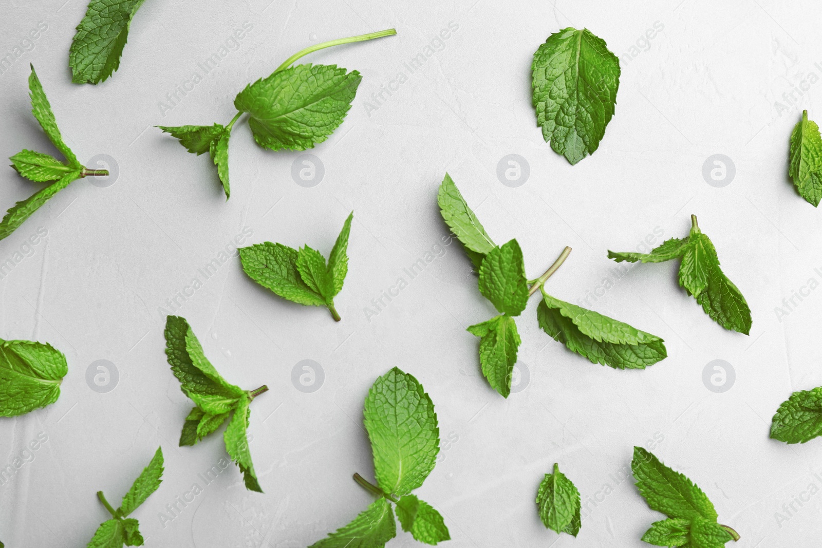 Photo of Fresh mint leaves on grey background, flat lay