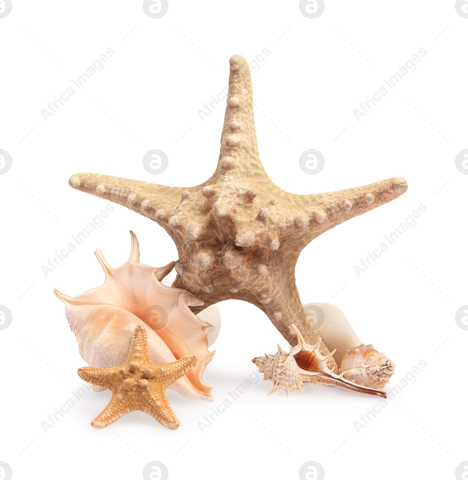 Photo of Beautiful sea stars, stones and seashells isolated on white