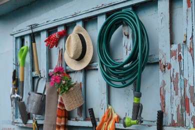 Beautiful plant, gardening tools and accessories on shed wall