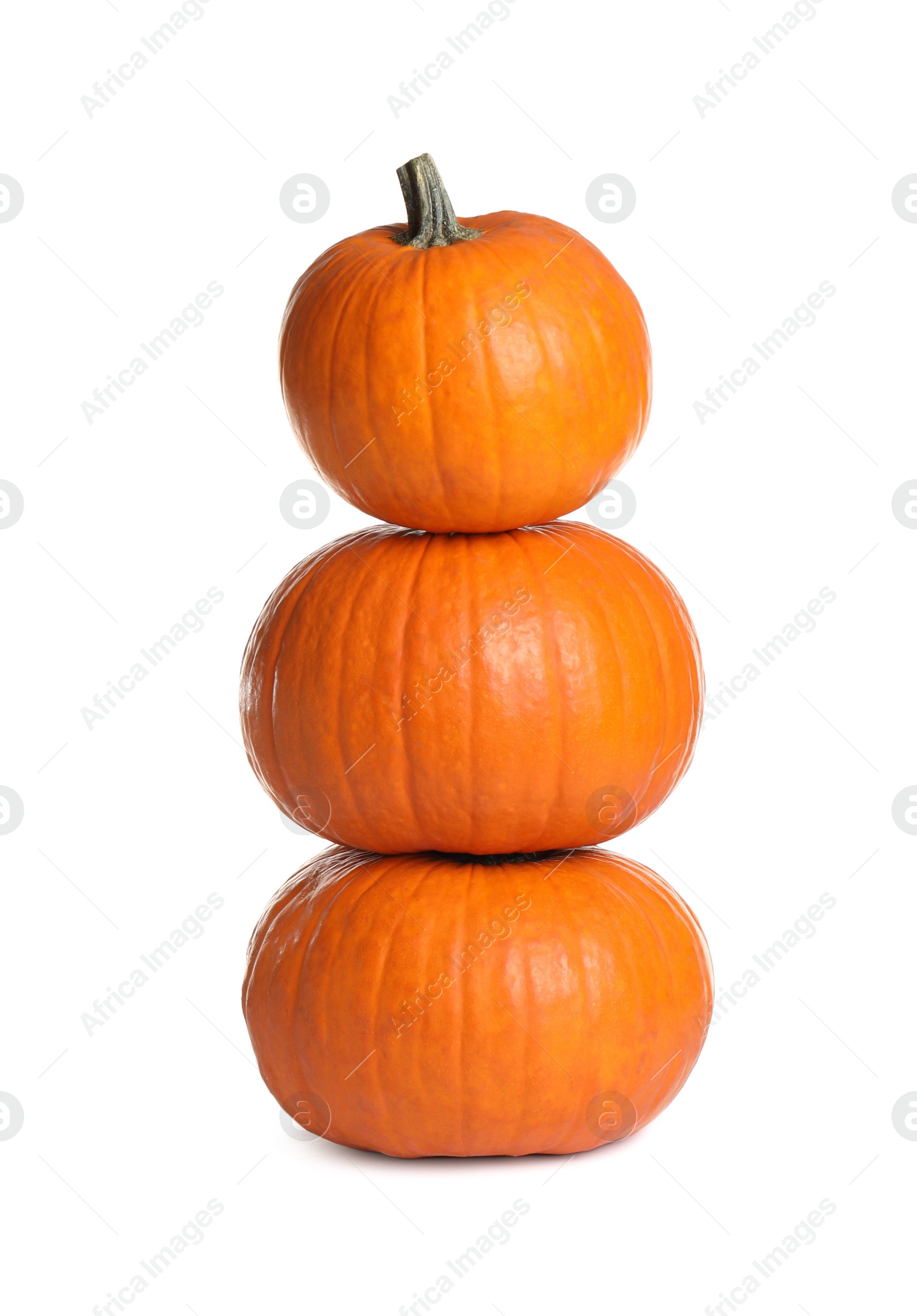 Photo of Beautiful ripe orange pumpkins on white background