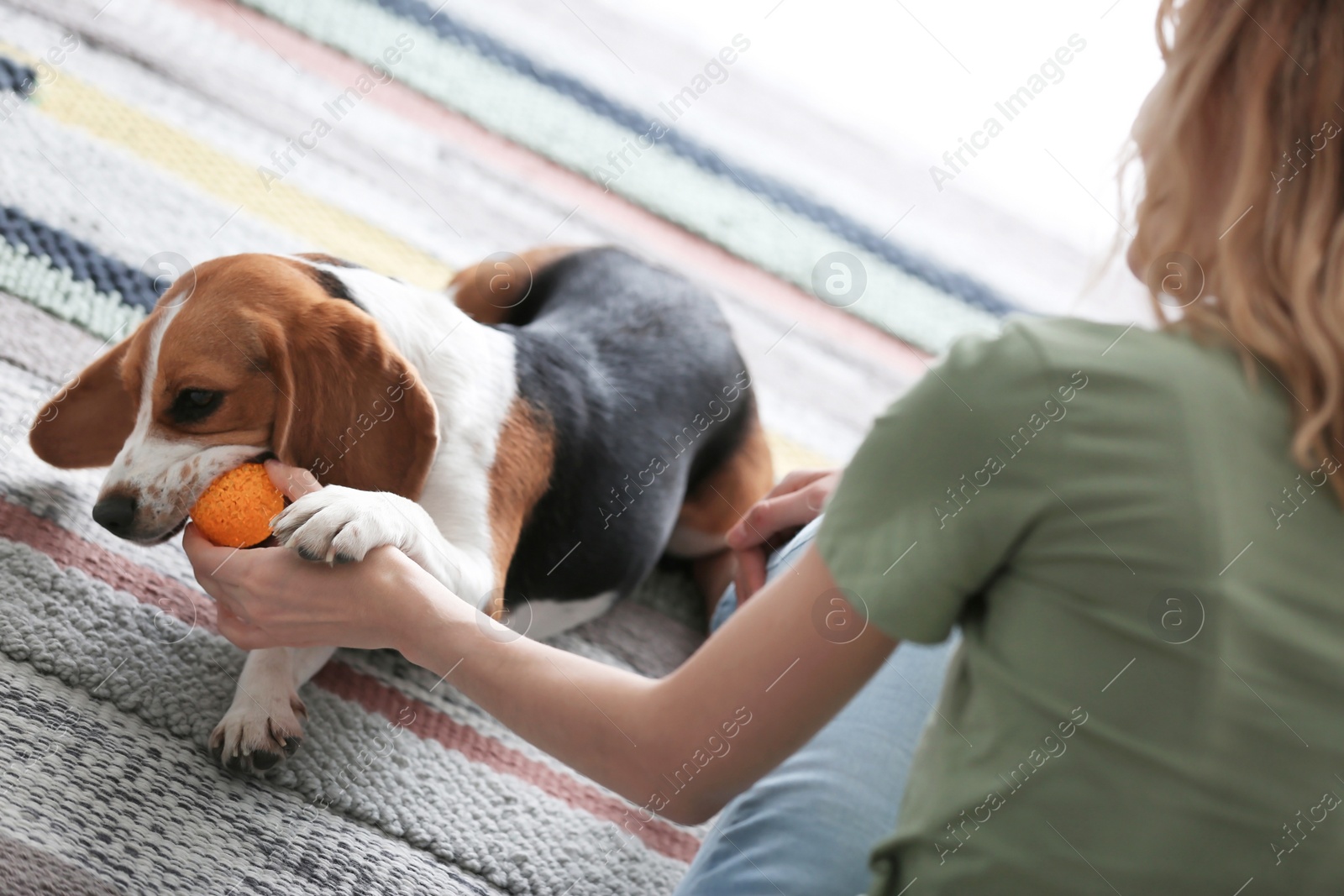 Photo of Young woman playing with her dog at home