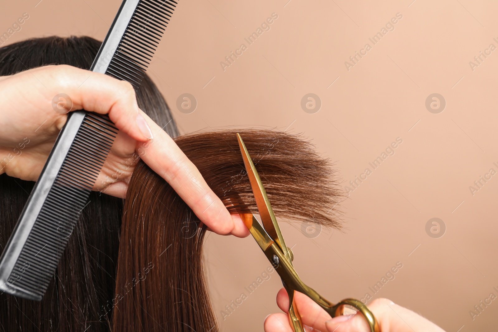 Photo of Hairdresser cutting client's hair with scissors on beige background, closeup. Space for text