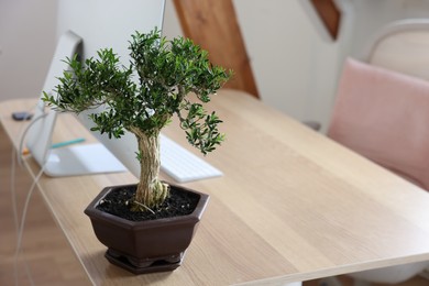 Photo of Beautiful bonsai tree in pot on wooden table indoors, space for text