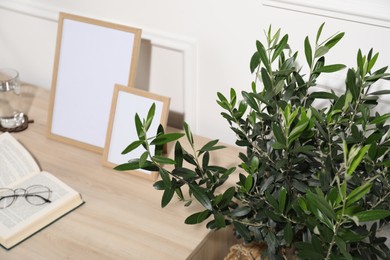 Photo of Beautiful young olive tree near table indoors, closeup. Interior element