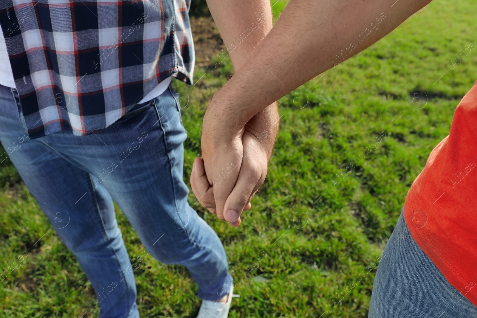 Photo of Gay couple walking in park on sunny day, closeup