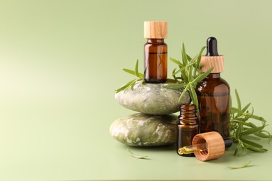 Aromatic essential oils in bottles, rosemary, pipette and pebble stones on green background. Space for text