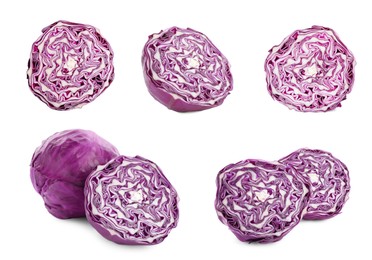 Image of Collage with fresh red cabbages on white background