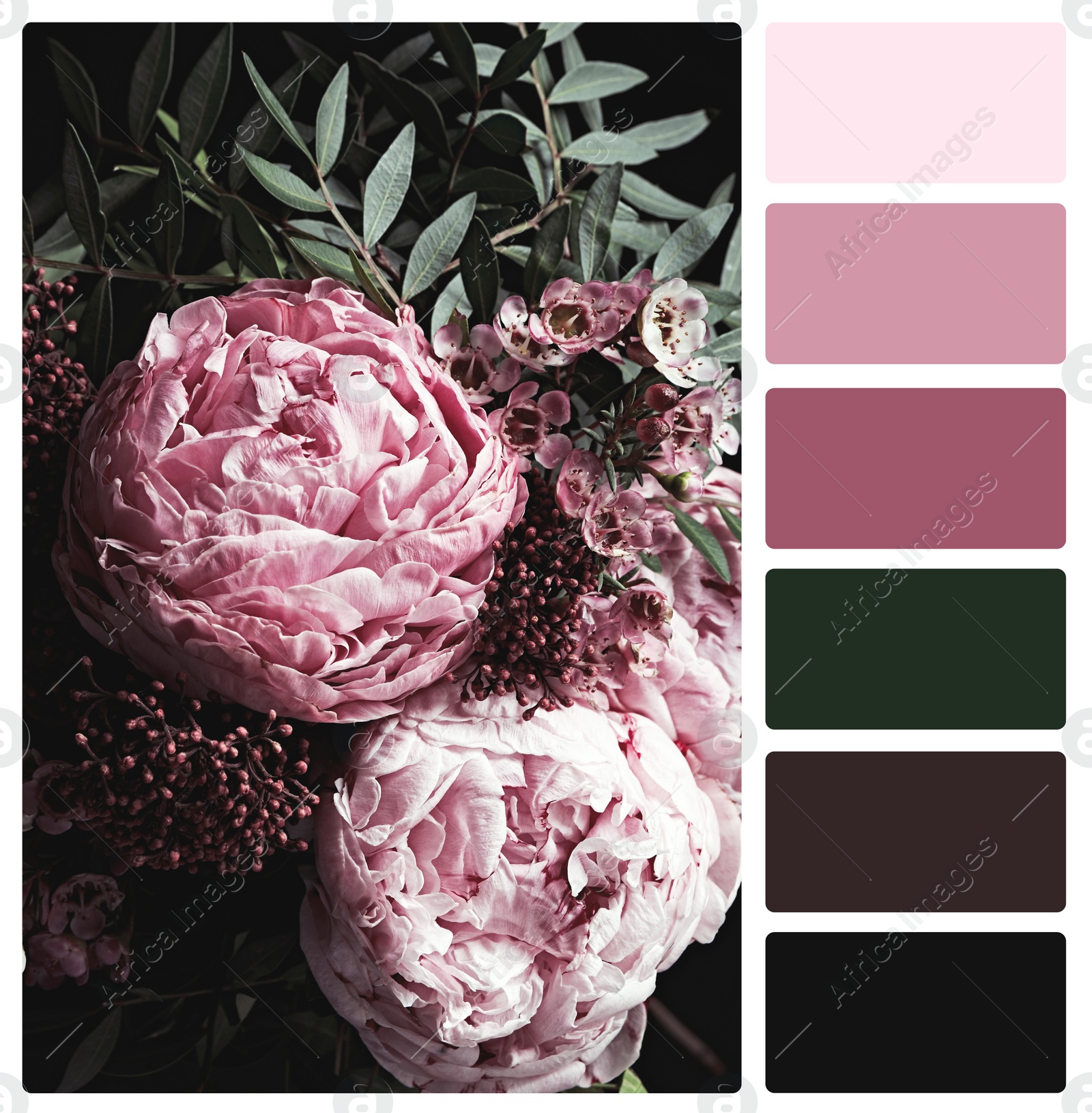 Image of Beautiful fresh flowers and color palette. Collage