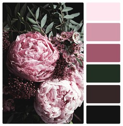 Image of Beautiful fresh flowers and color palette. Collage