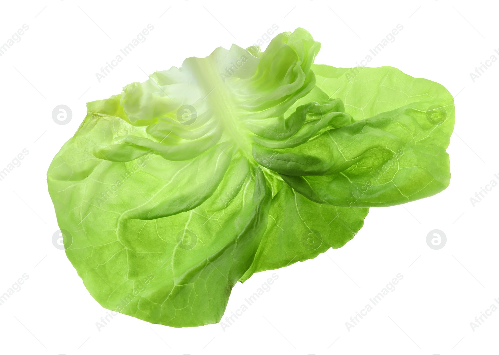 Photo of Fresh leaf of green butter lettuce isolated on white