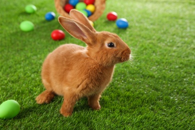 Cute bunny and Easter eggs on green grass